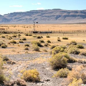 Southern Bog Hot Valley