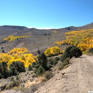 Bodie Hills Aspen