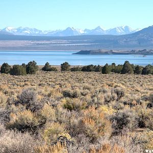 Mono Lake from the north