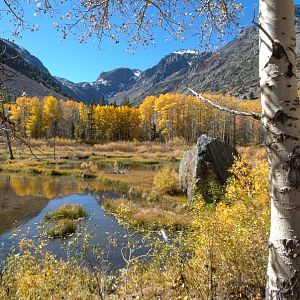 Lundy Beaver Pond #2