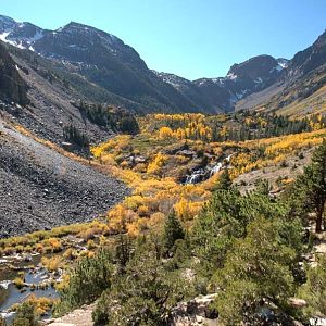 A Cascade of Color (yellow)