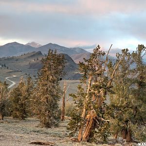 View North from Radio peak Camp