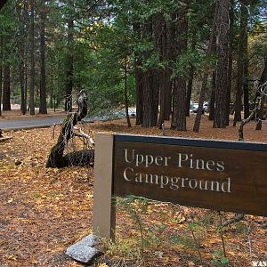 Upper Pines Campground