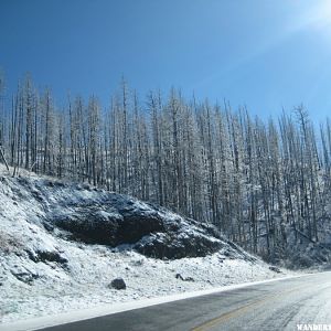 15 Snow in Yellowstone (1024x768).jpg