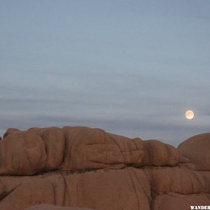 99 Moon rise at Joshua Tree (1024x744).jpg