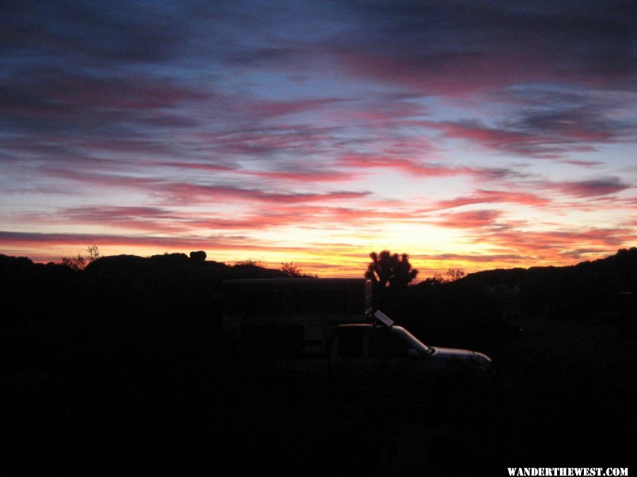 103 Sunrise Joshua Tree (1024x768).jpg