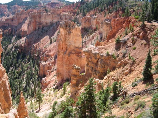 125 Bryce Canyon