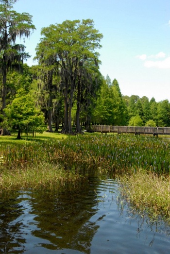 138 acre lake at Turkey lake Park