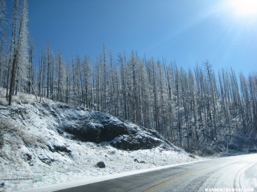 15 Snow in Yellowstone (1024x768).jpg