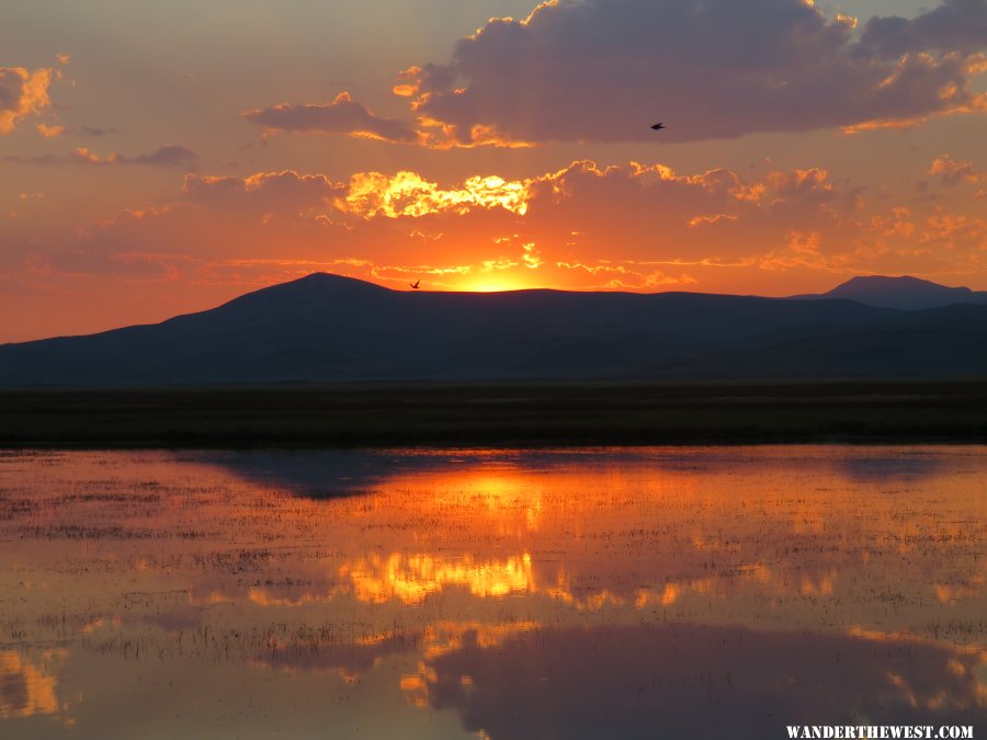 '16 MT ZZ RED ROCK LAKES NWR