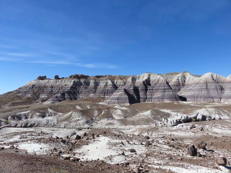 '16 W21 AZ, PETRIFIED FOREST NP VW