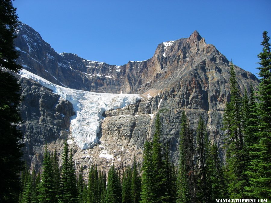 2005 C94 JASPER MT EDITH  CAVELL ANGEL GL