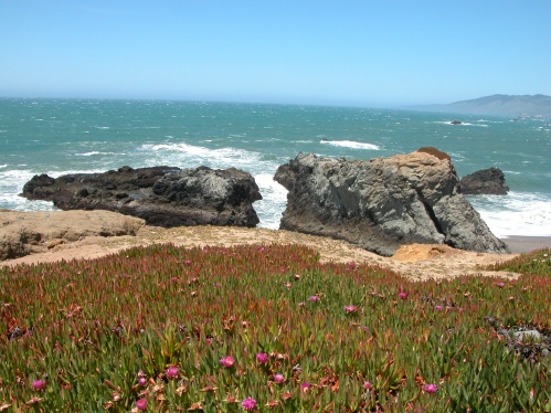 2010 5 5, Bodega Bay