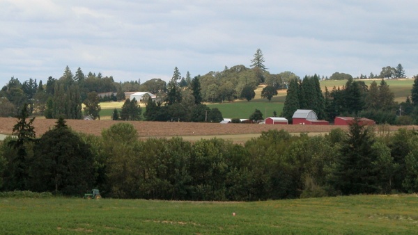 2012, Silverton, Or., Willamet Valley Farm Land