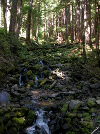 2012  Sol Duc Falls, Olympic NF