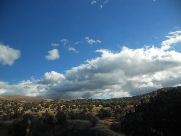 2013  Gila Na Forrest,  NM