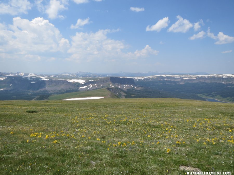 2014 CO FLAT TOPS FLAT TOP MTN