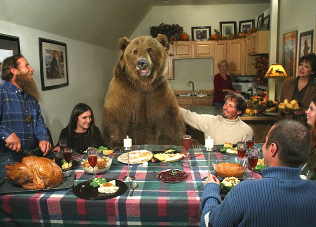 800lb Bear. Latest trend for conversion owners.