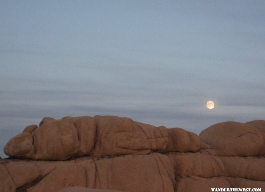 99 Moon rise at Joshua Tree (1024x744).jpg