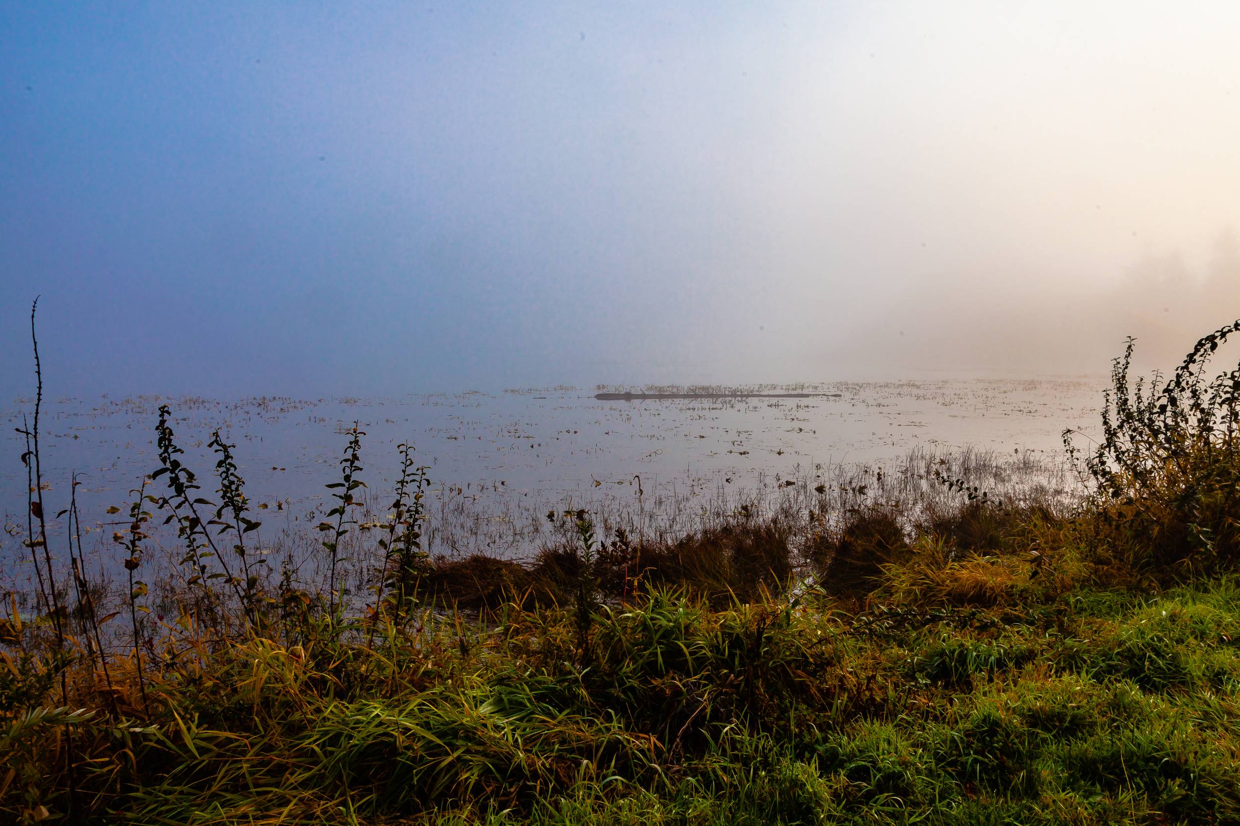 A Foogy morning at Lake Terrel 10/23/2014