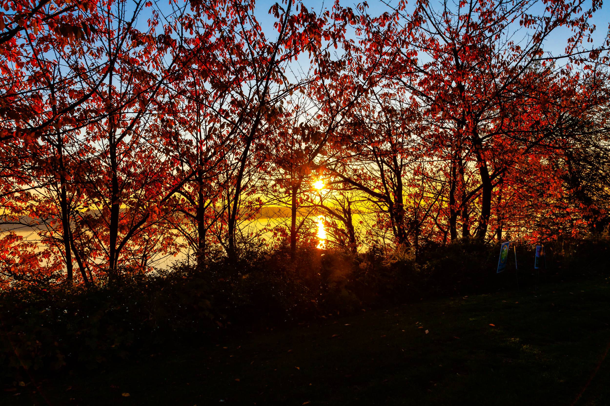 A Gorgeous Fall Sunset