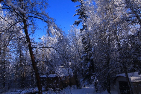 a heavy snow in Wasilla Alaska