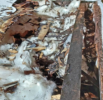 A look at the rear, the rotted sheathing is just mush and the insulation is soaked. I shudder to think of what I'll find when I pull the wall back.