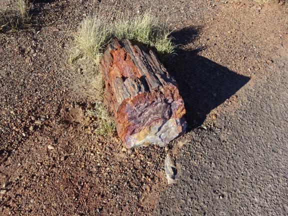 A petrified log in Petrified Forest National Park, Arizona.