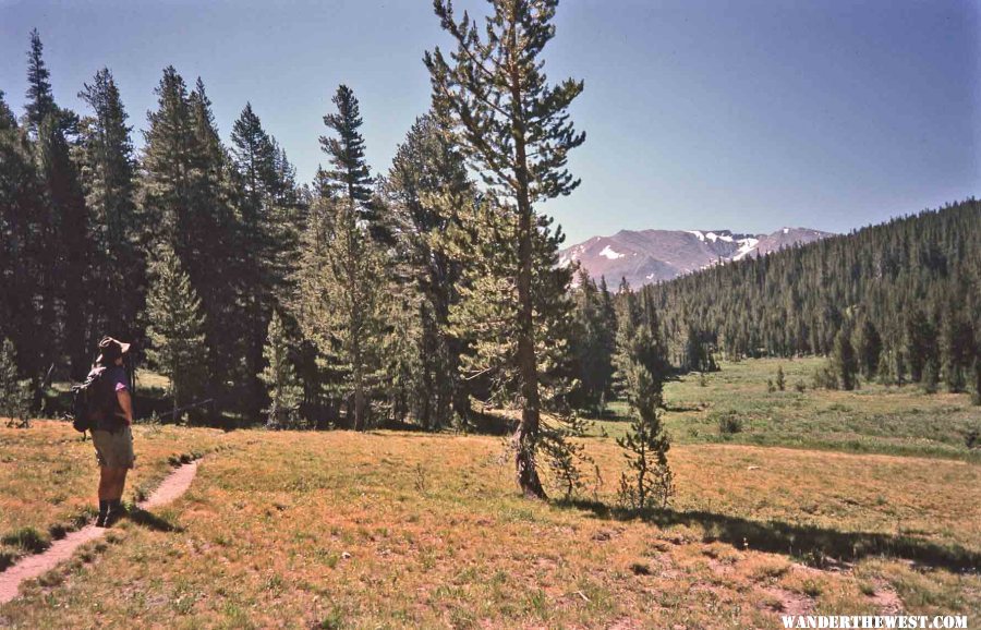 A Tuolumne Trail