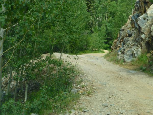 A typical back road in the Colorado Rockies


©Ray Hanson, All Rights Reserved