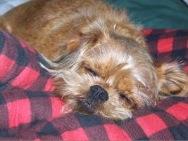 After a day of hiking & canoeing at Ludington SP (2011).