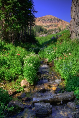 Albion Basin, Alta, Utah