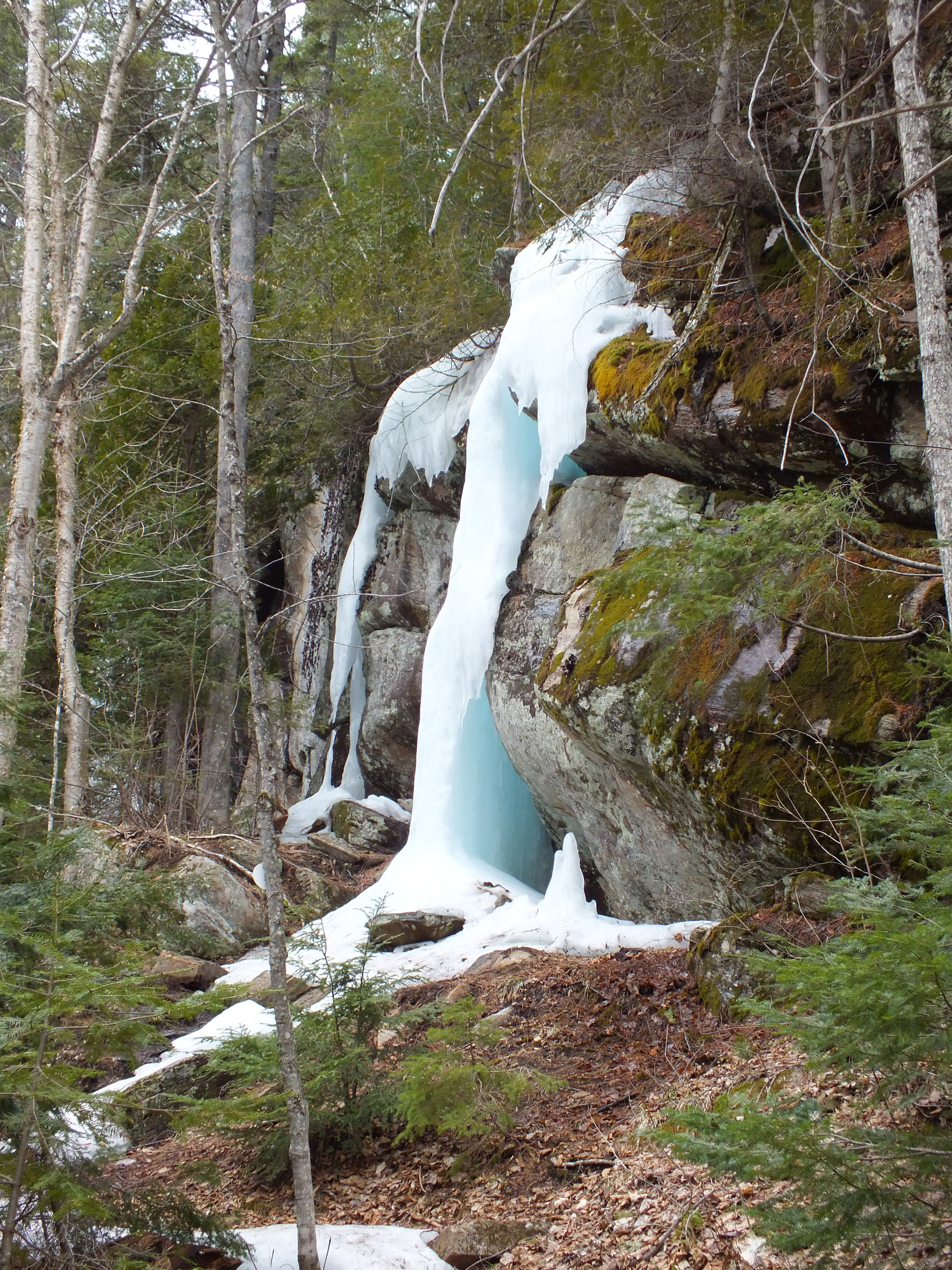 Algonquin Park Apr '11