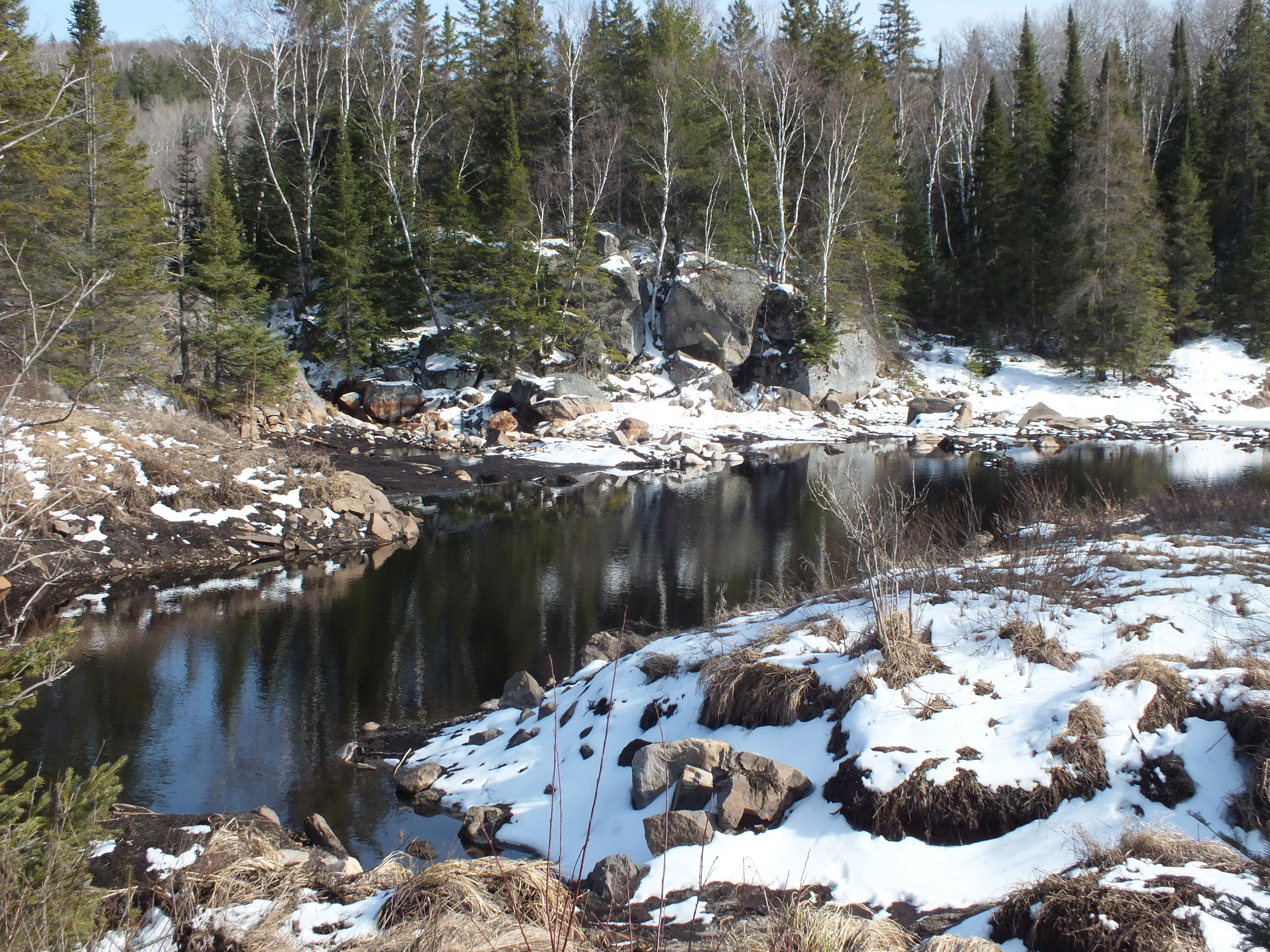 Algonquin Park Apr '11