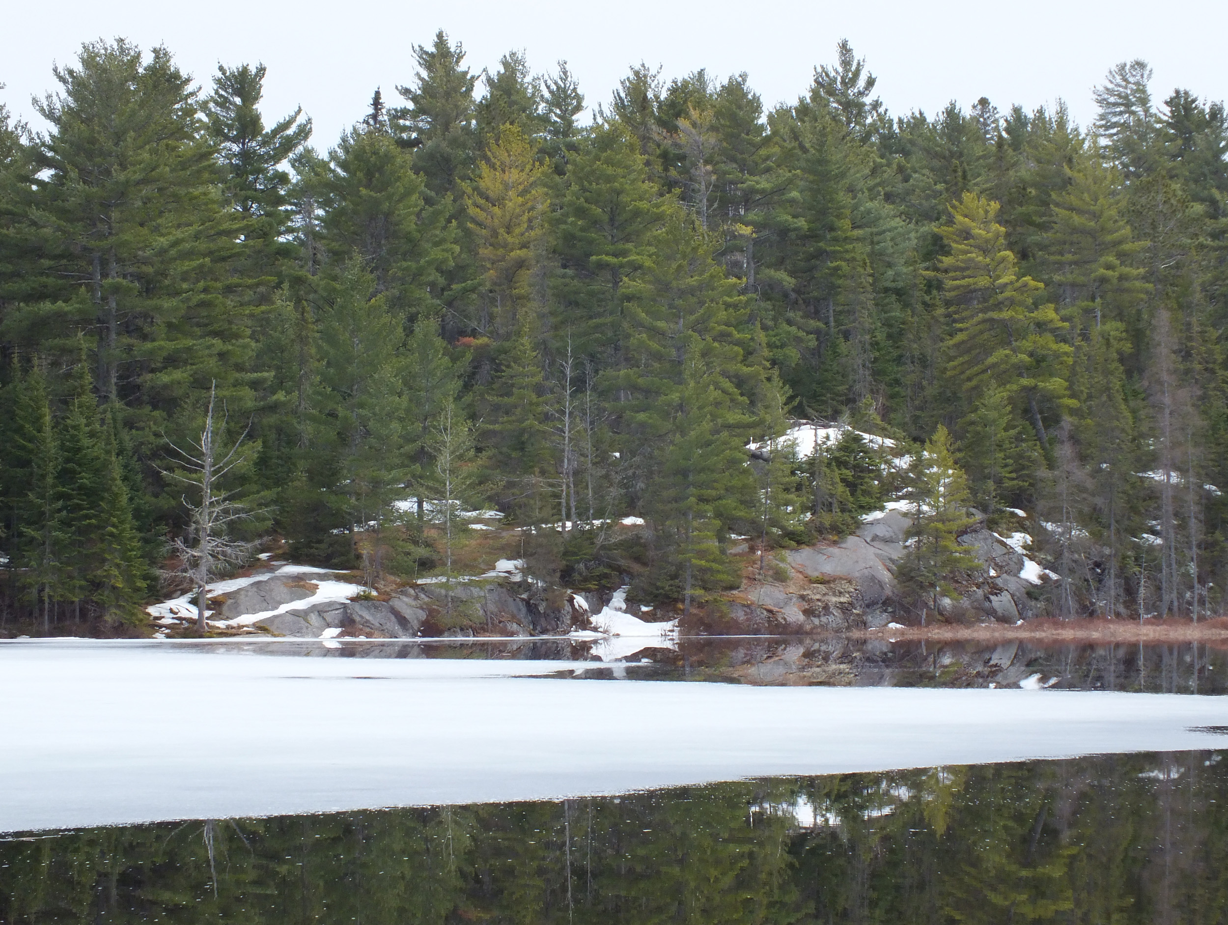 Algonquin Park Apr '11