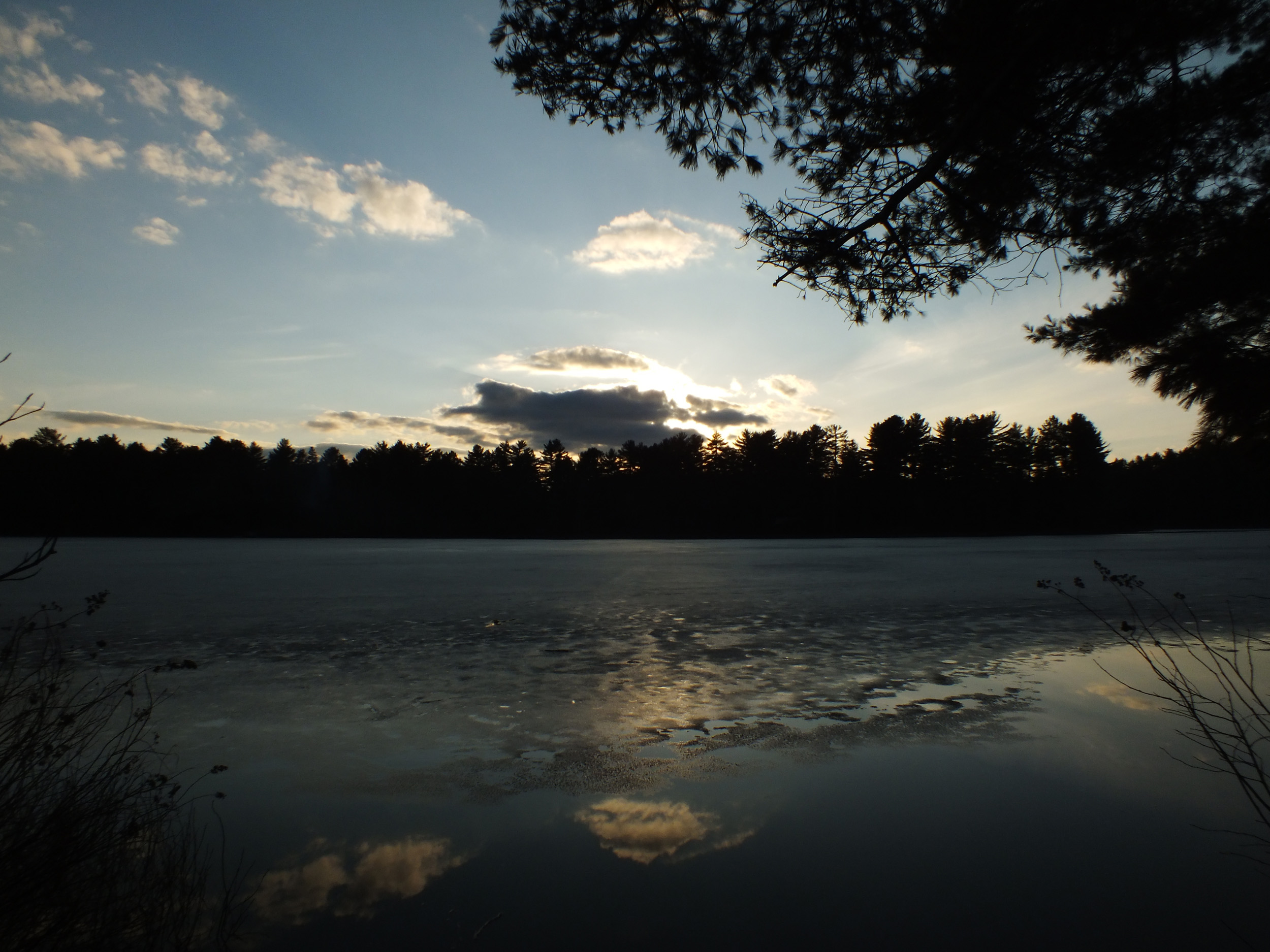 Algonquin Park Apr '11