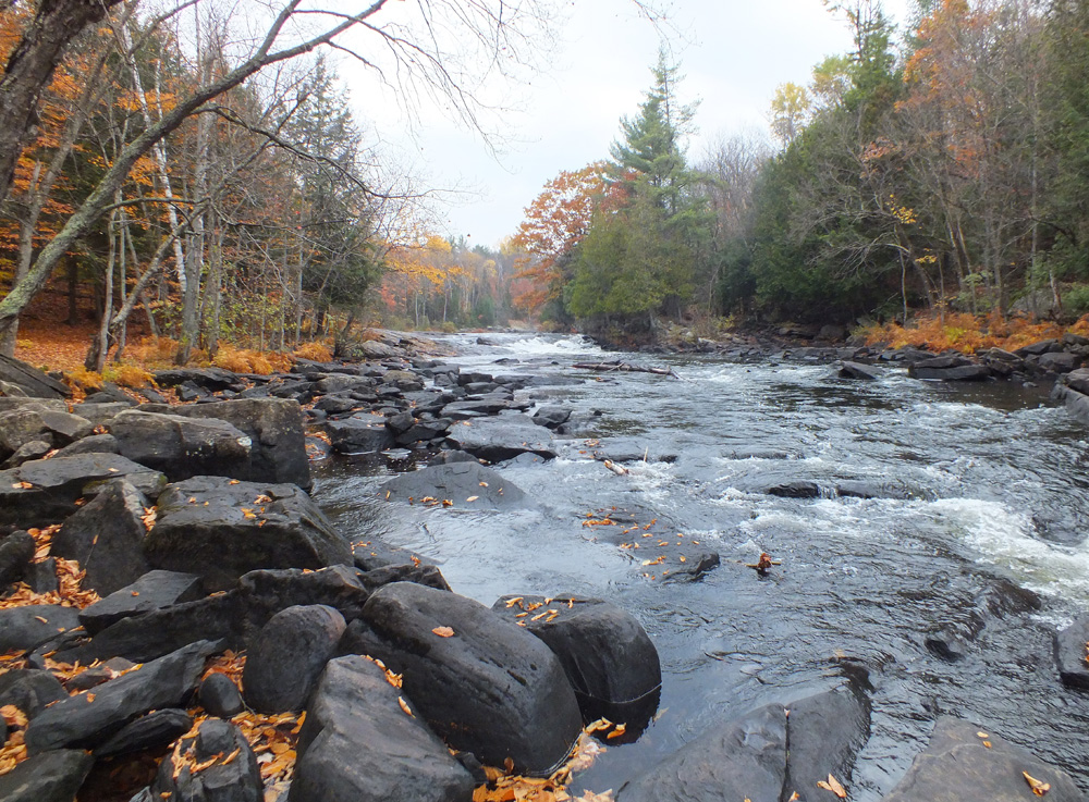 Algonquin Park