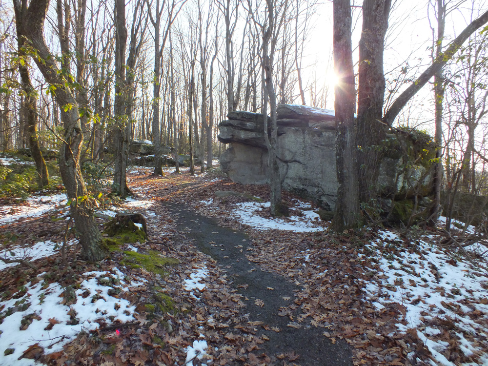 Alleghany National Forest