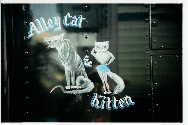 alley cat & kitten