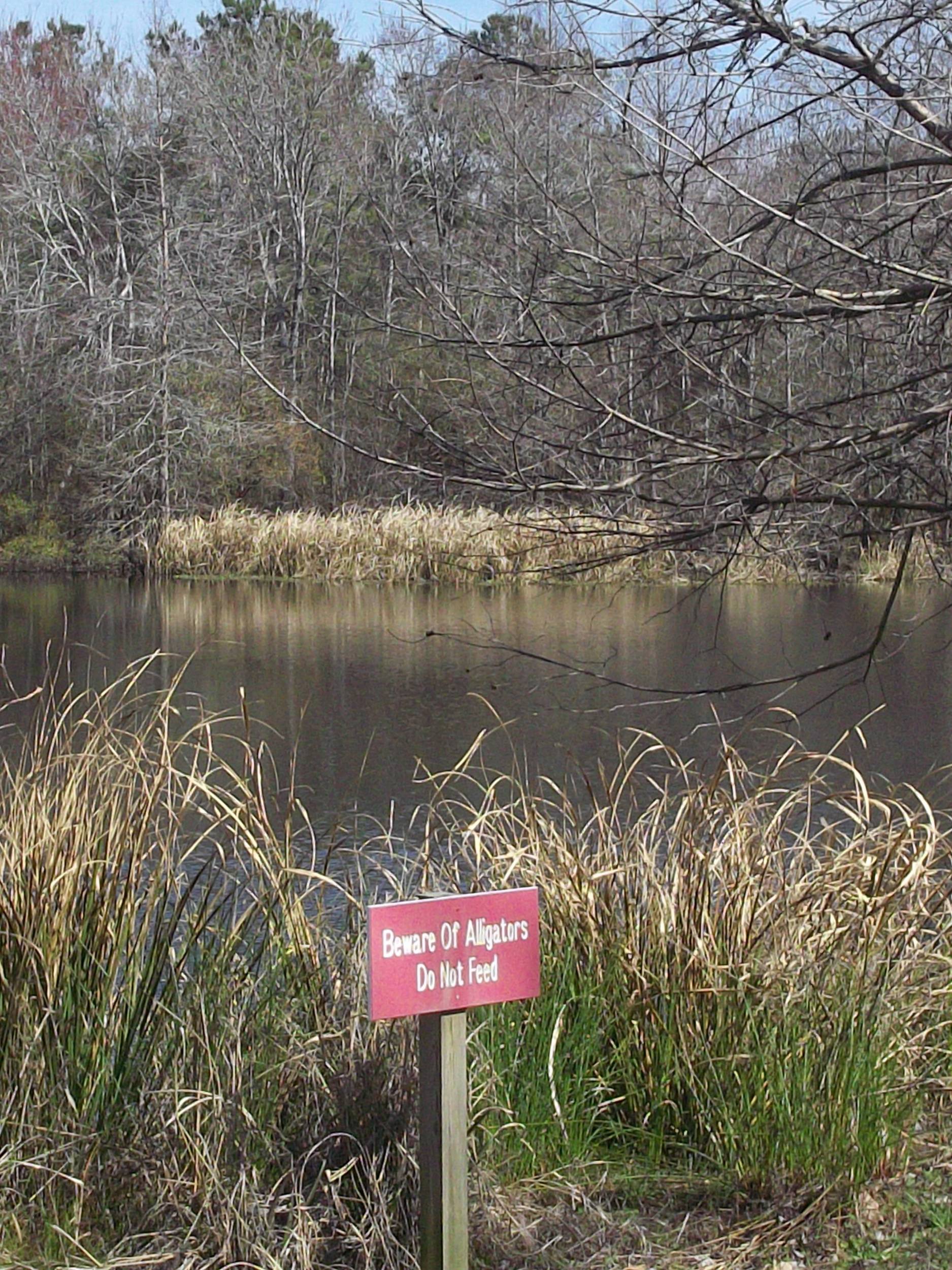 alligator sign