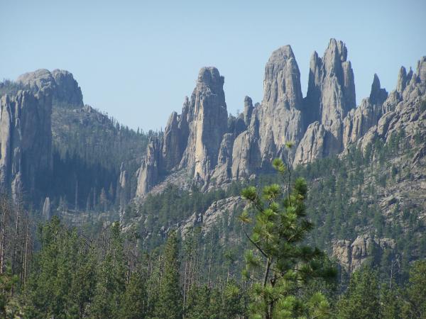 Along Needles Highway in Custer State Park