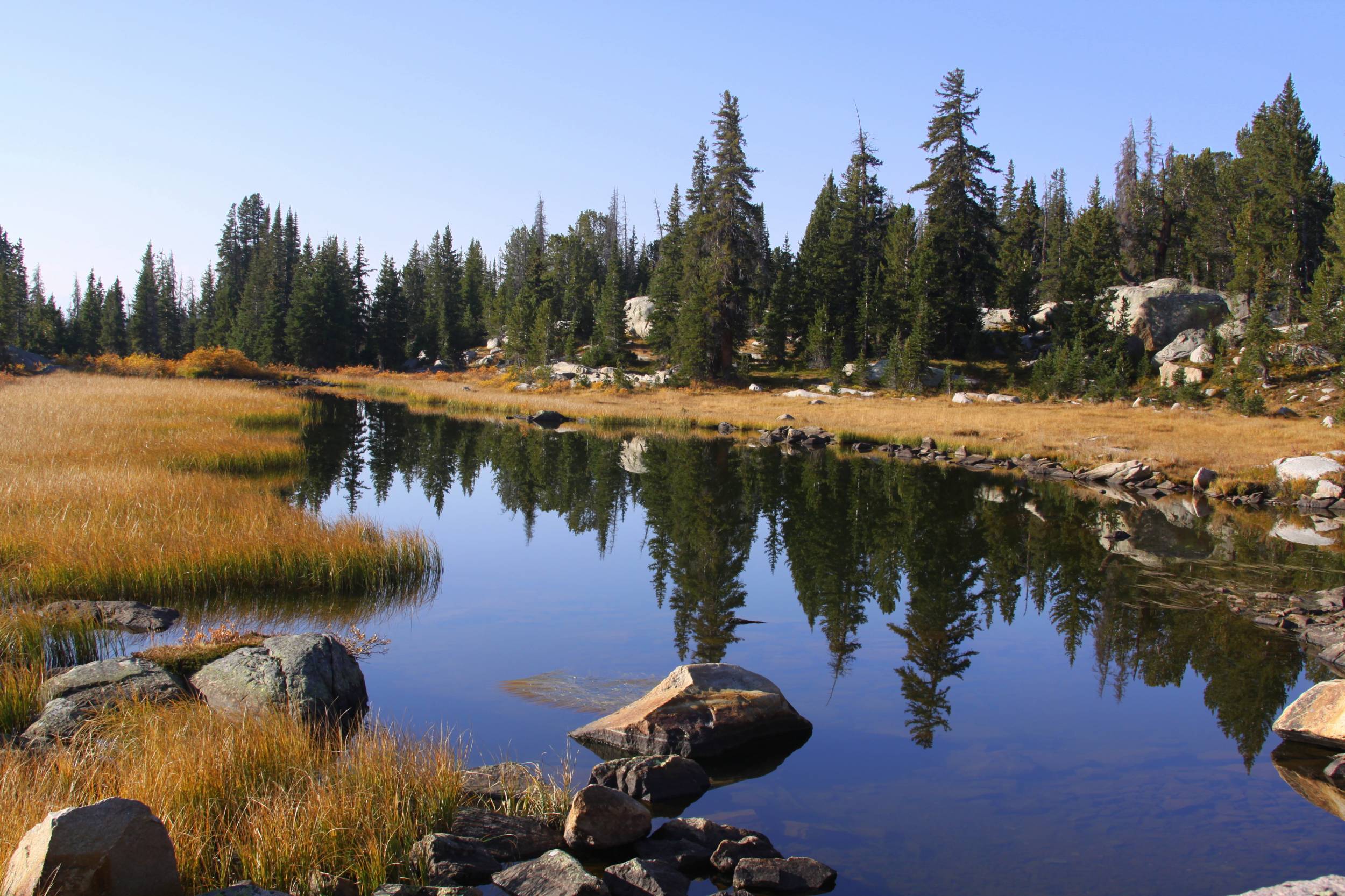 Along the Beartooth Highway