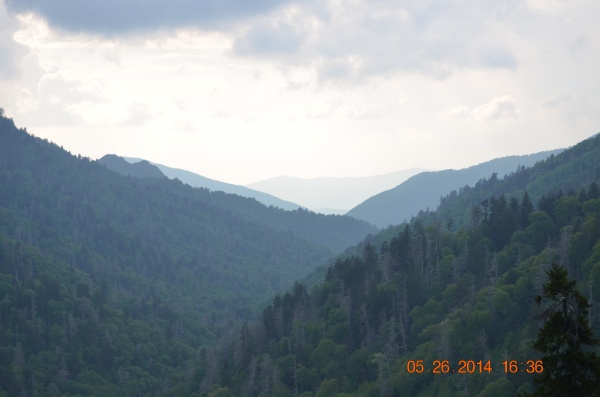 Along the Blue Ridge Parkway in NC