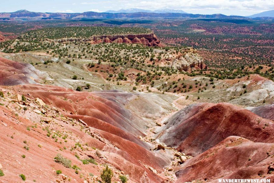 Along the Burr Trail