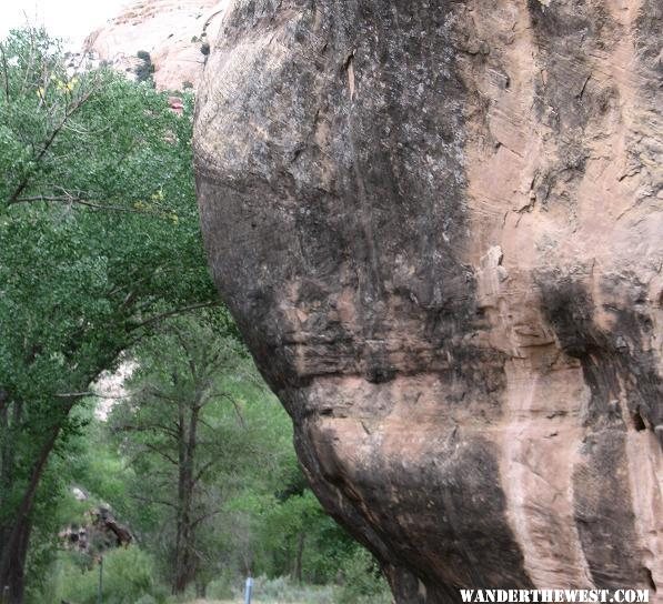 arch of leaves and rock.jpg