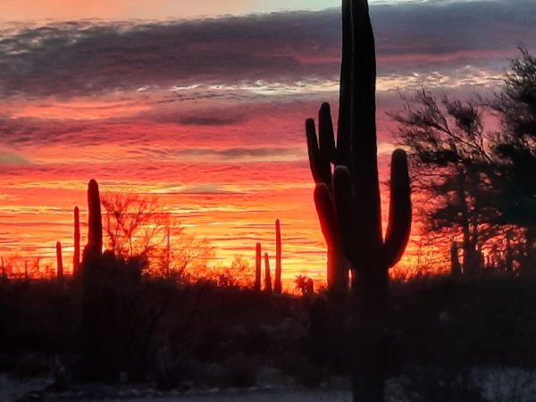 Arizona Sunsets