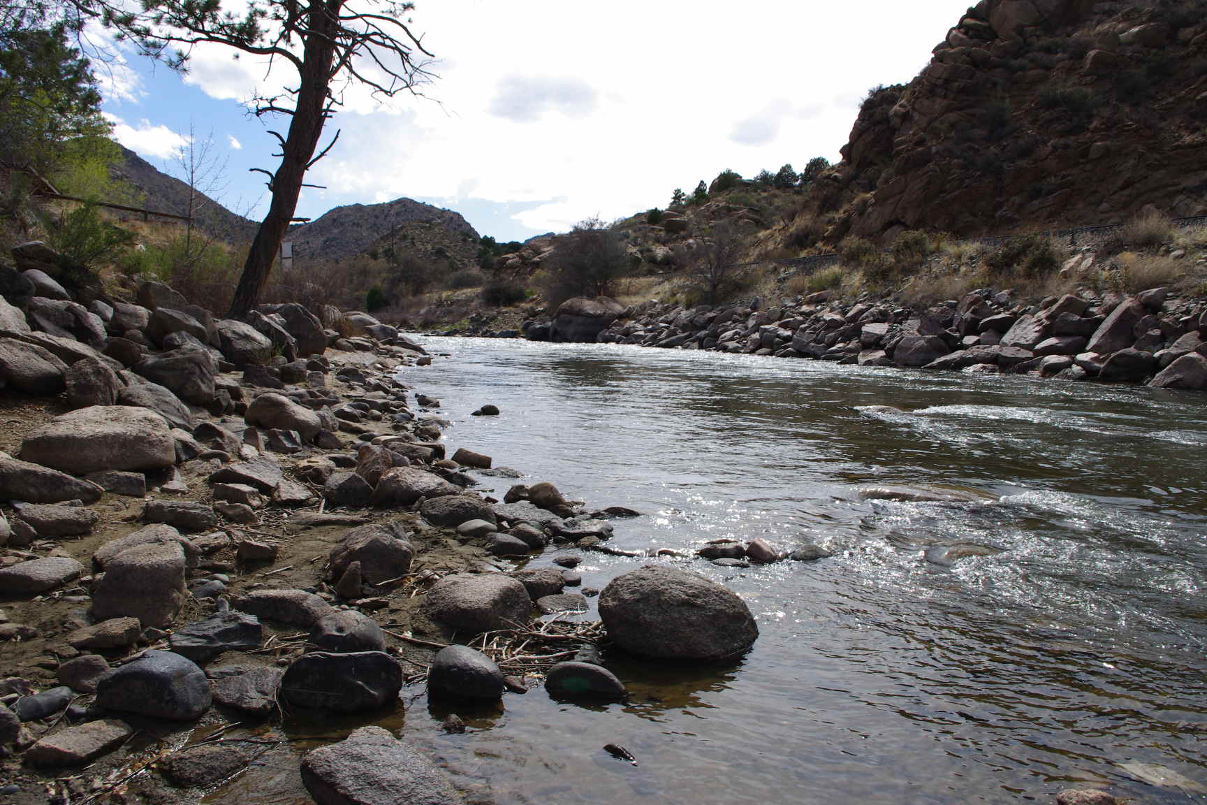 Arkansas River - May 2011