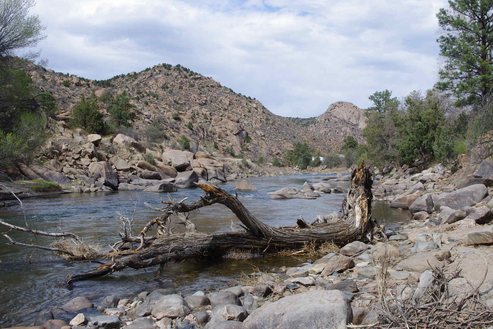 Arkansas River - May 2011