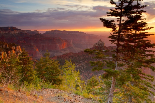 Artistic Sunrise, North Rim, Grand Canyon