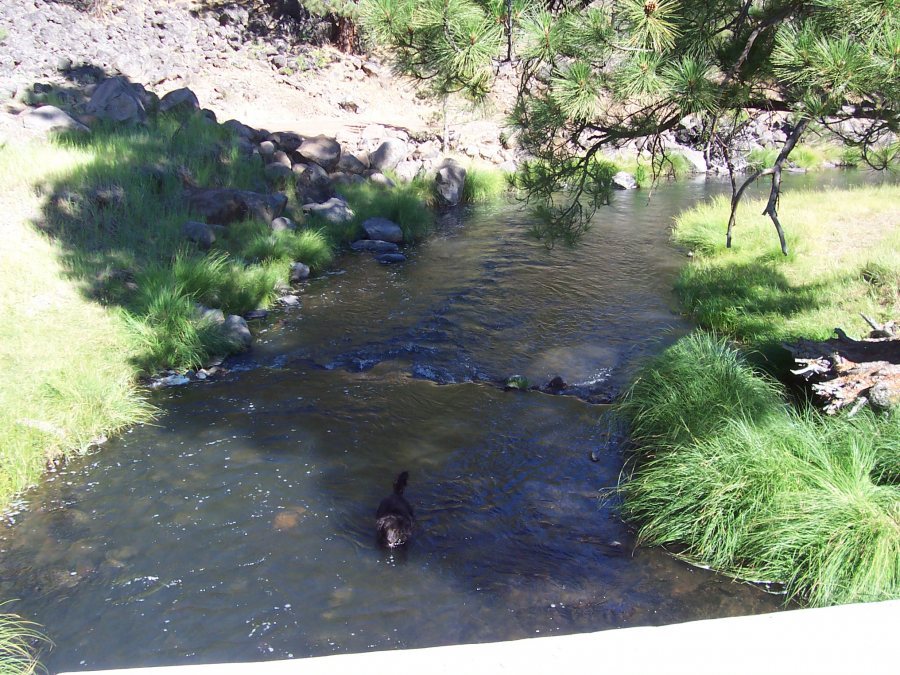 Ash Creek CG, Mooc NF -swimming hole